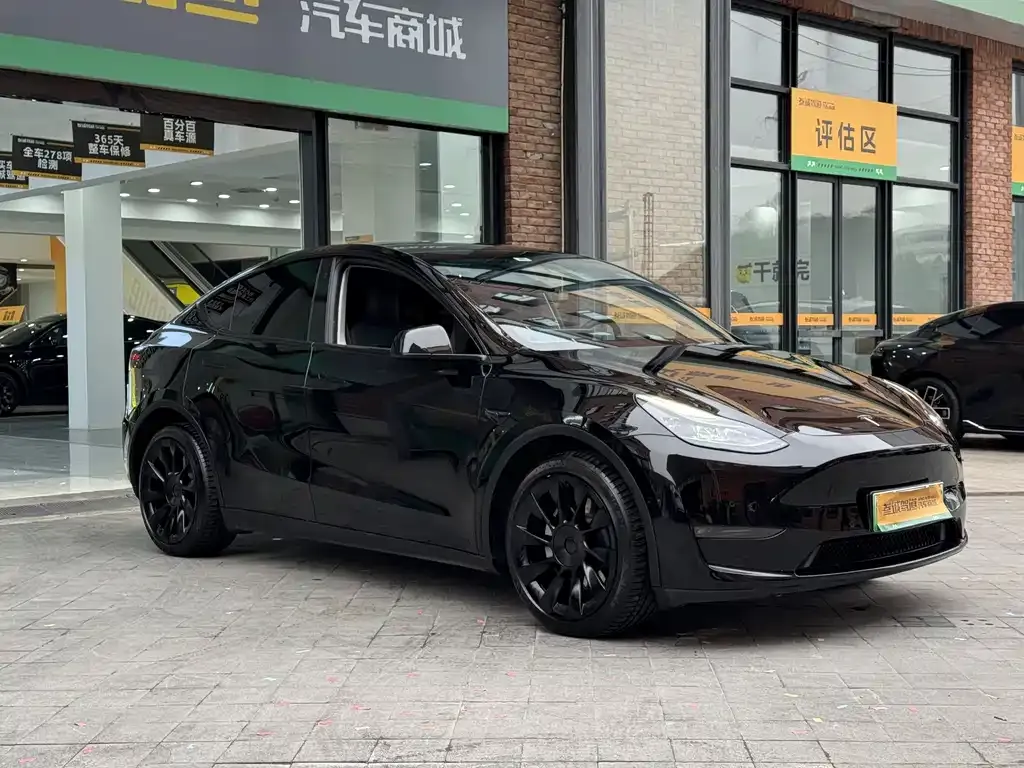 Tesla Model Y — фото 7