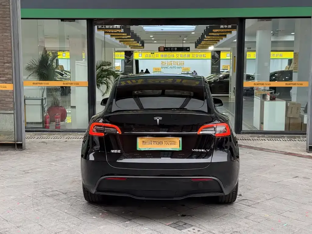 Tesla Model Y — фото 3