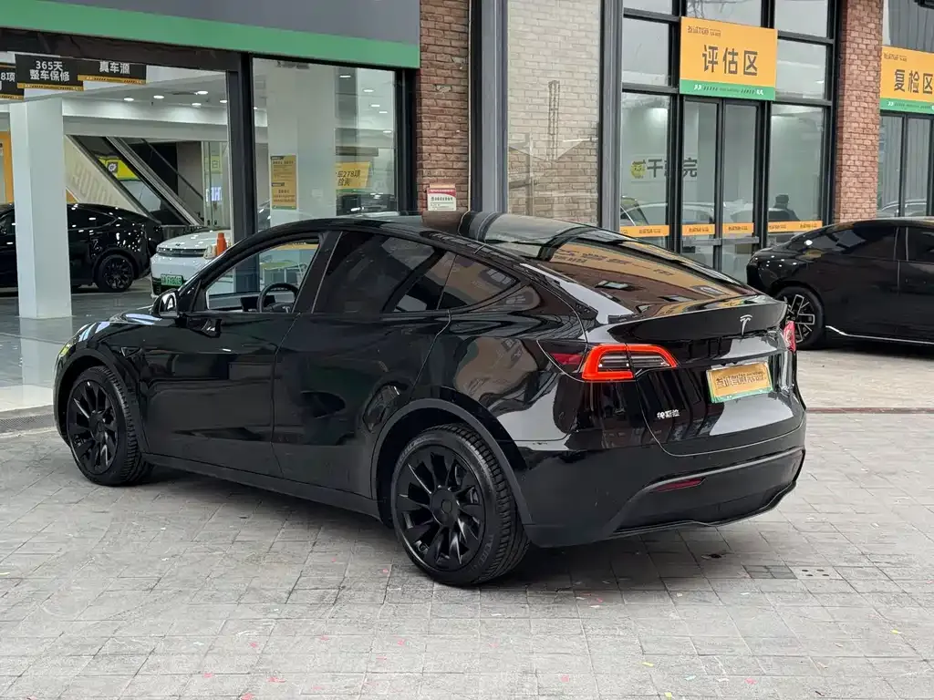 Tesla Model Y — фото 10