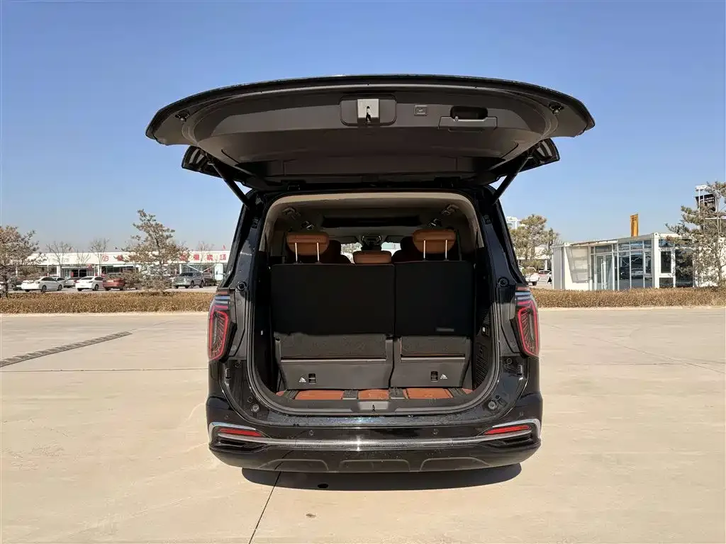 Hongqi HQ9 2023 из CN, фото 3