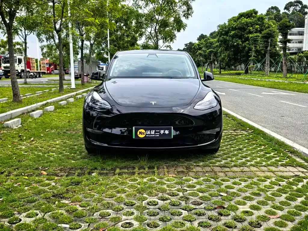 Tesla Model Y — фото 7