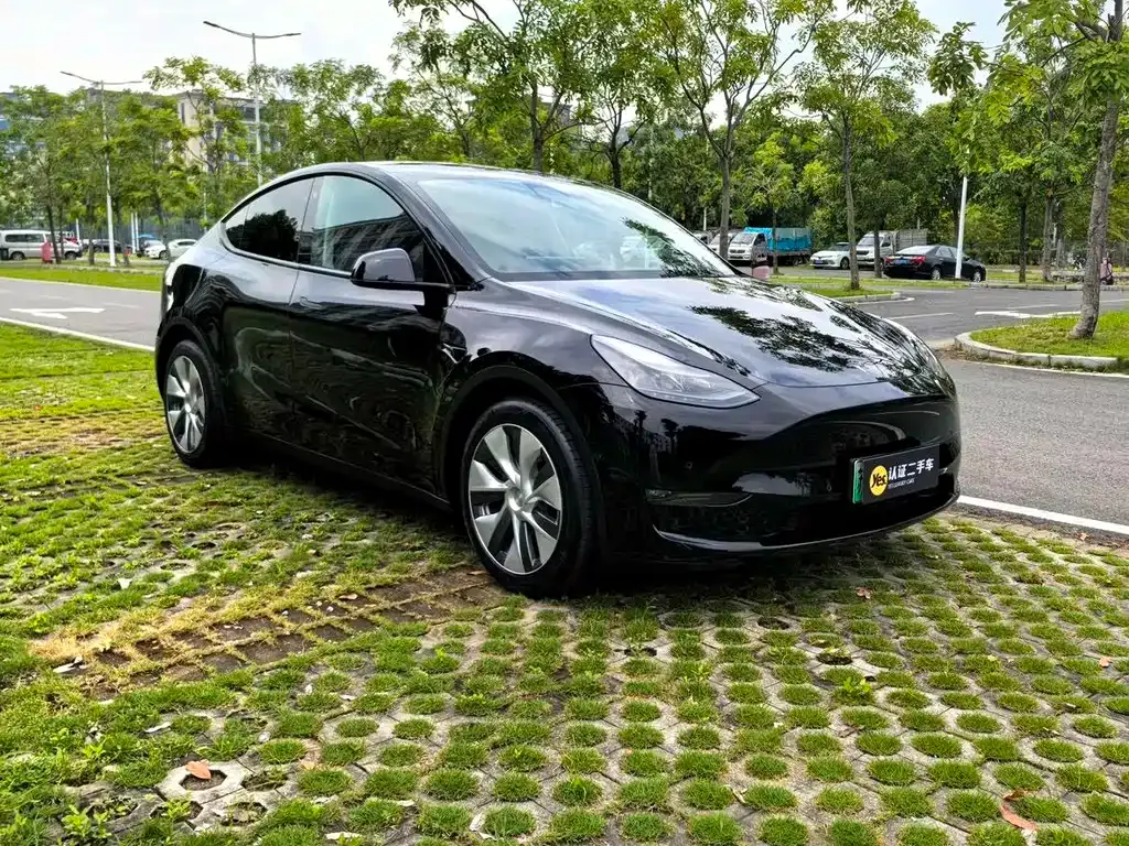 Tesla Model Y — фото 5