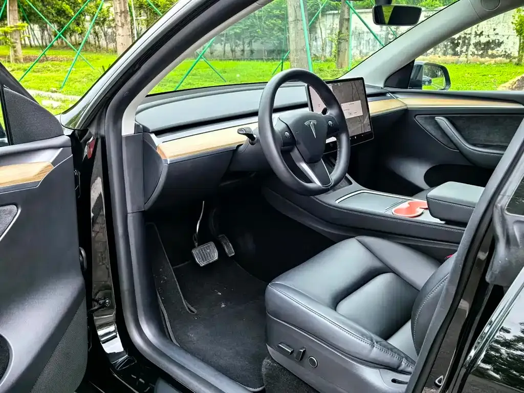 Tesla Model Y — фото 6