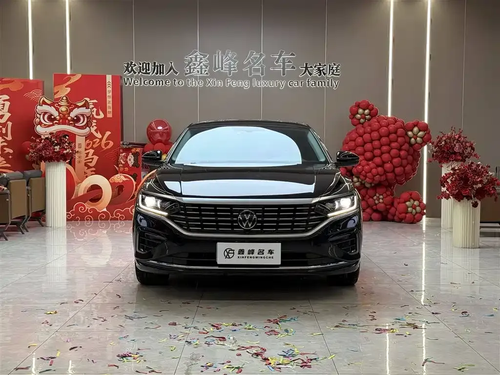Volkswagen Passat — фото 10