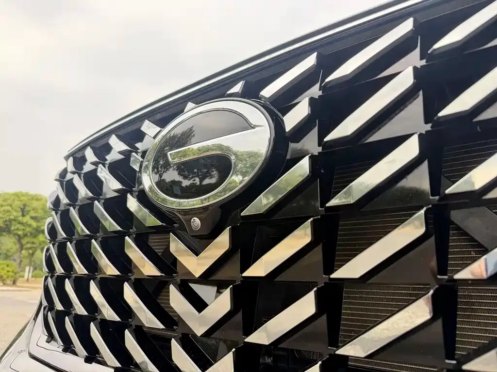 GAC Motor Trumpchi GS8 — фото 2