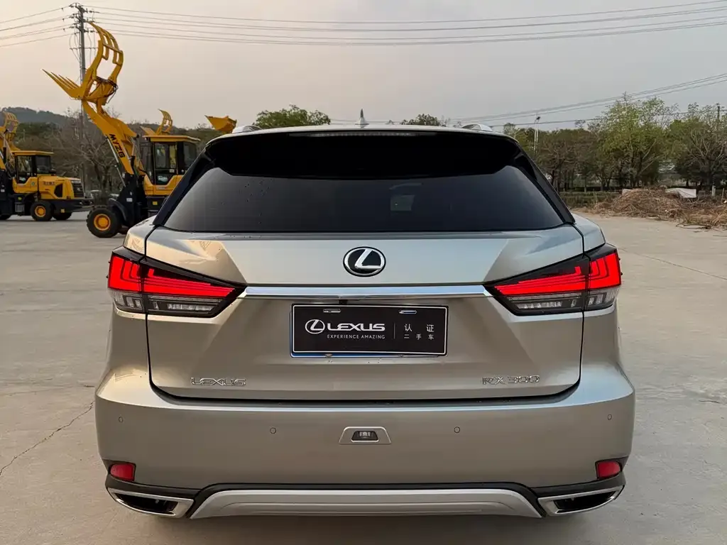 Lexus RX 2021 из CN, фото 2