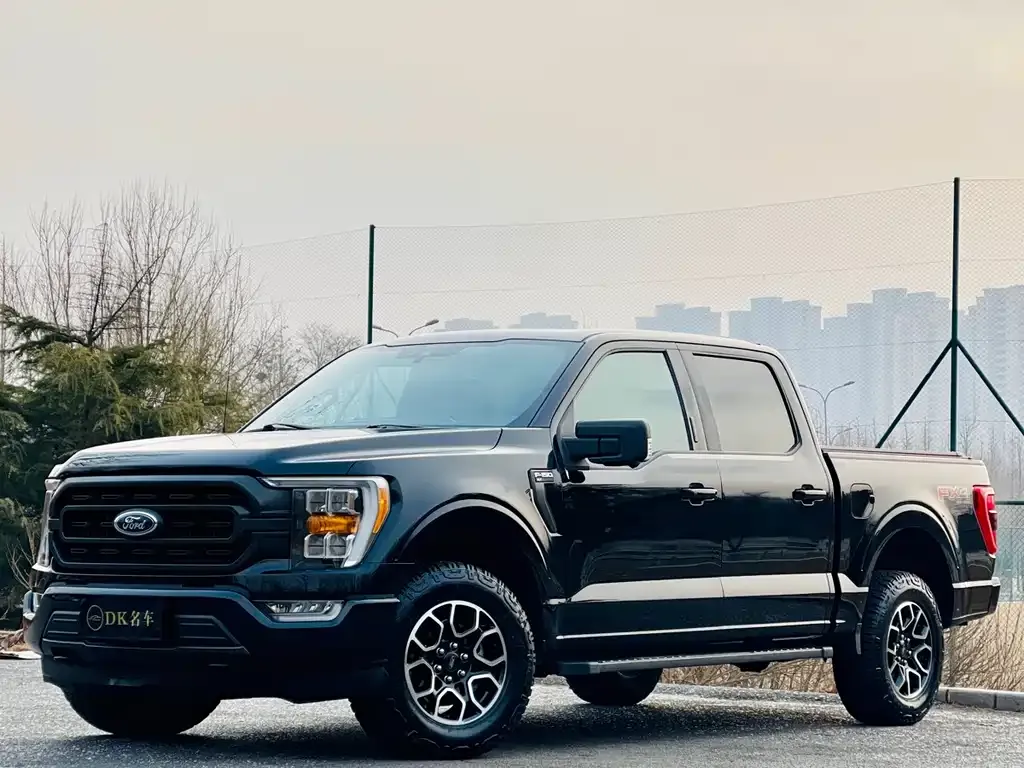 Ford F-150 Raptor 2022 из CN, фото 6