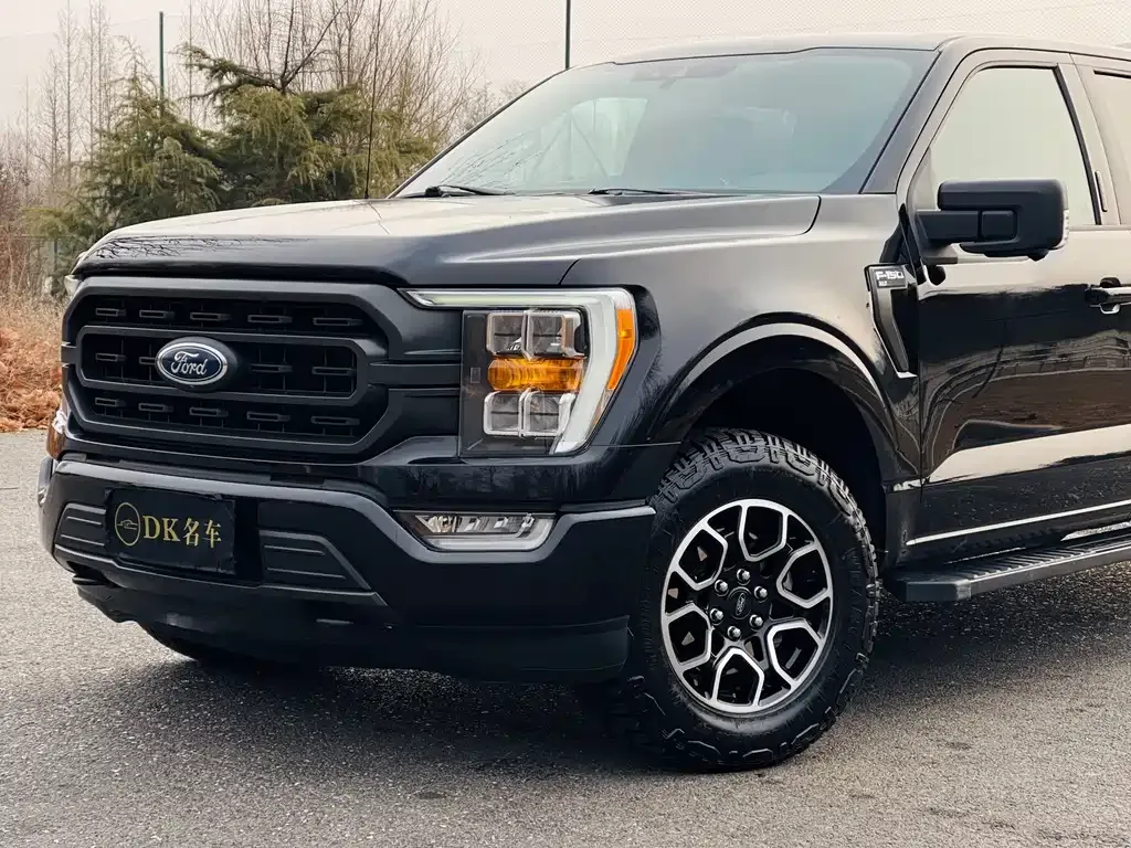 Ford F-150 Raptor 2022 из CN, фото 8