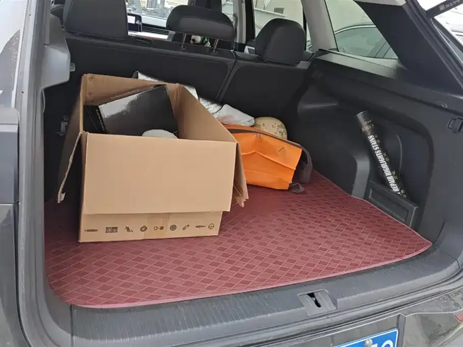 Volkswagen Tavendor 2024 из CN, фото 7