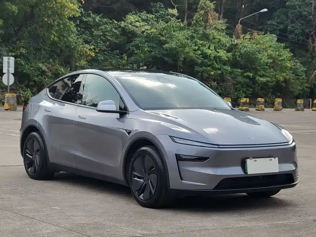 Tesla Model Y — фото 5