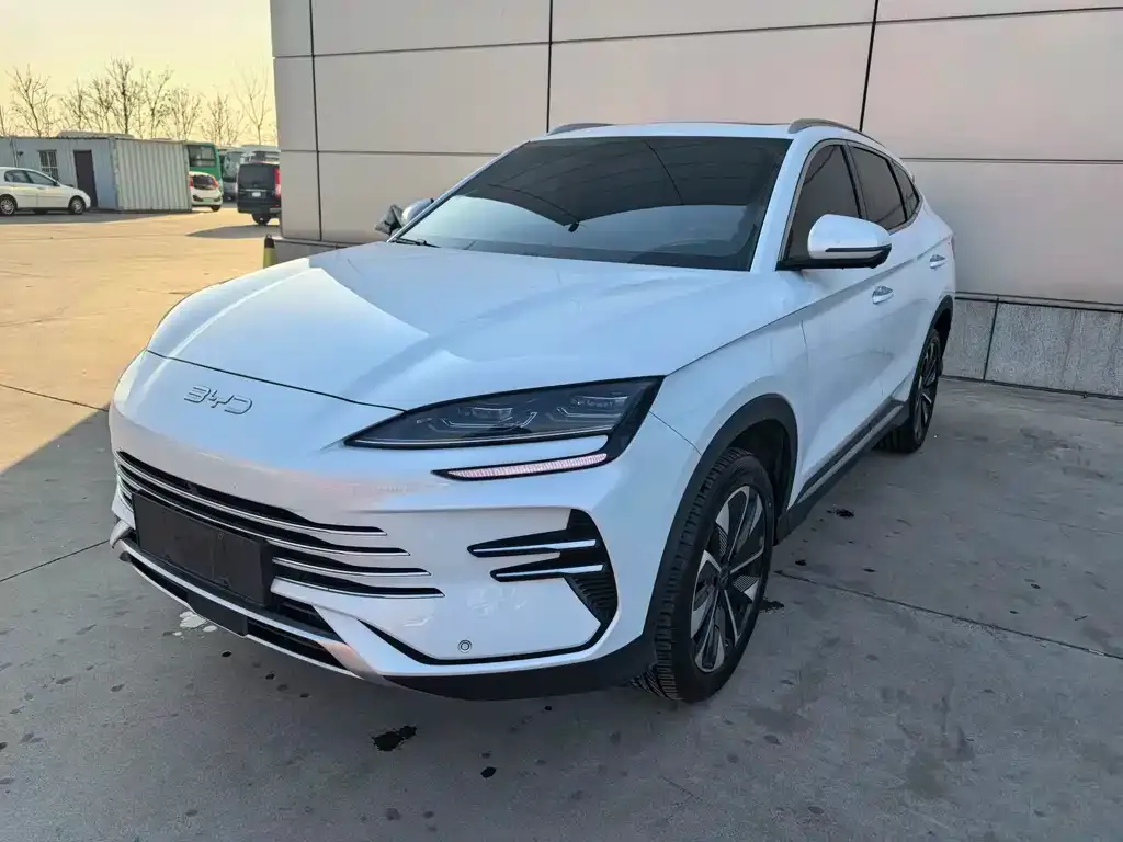 BYD PLUS New Energy 2024 из CN, фото 1