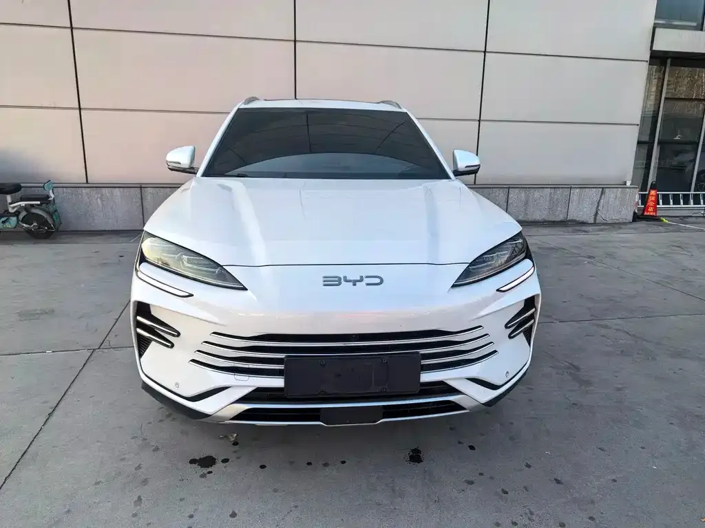 BYD PLUS New Energy 2024 из CN, фото 2