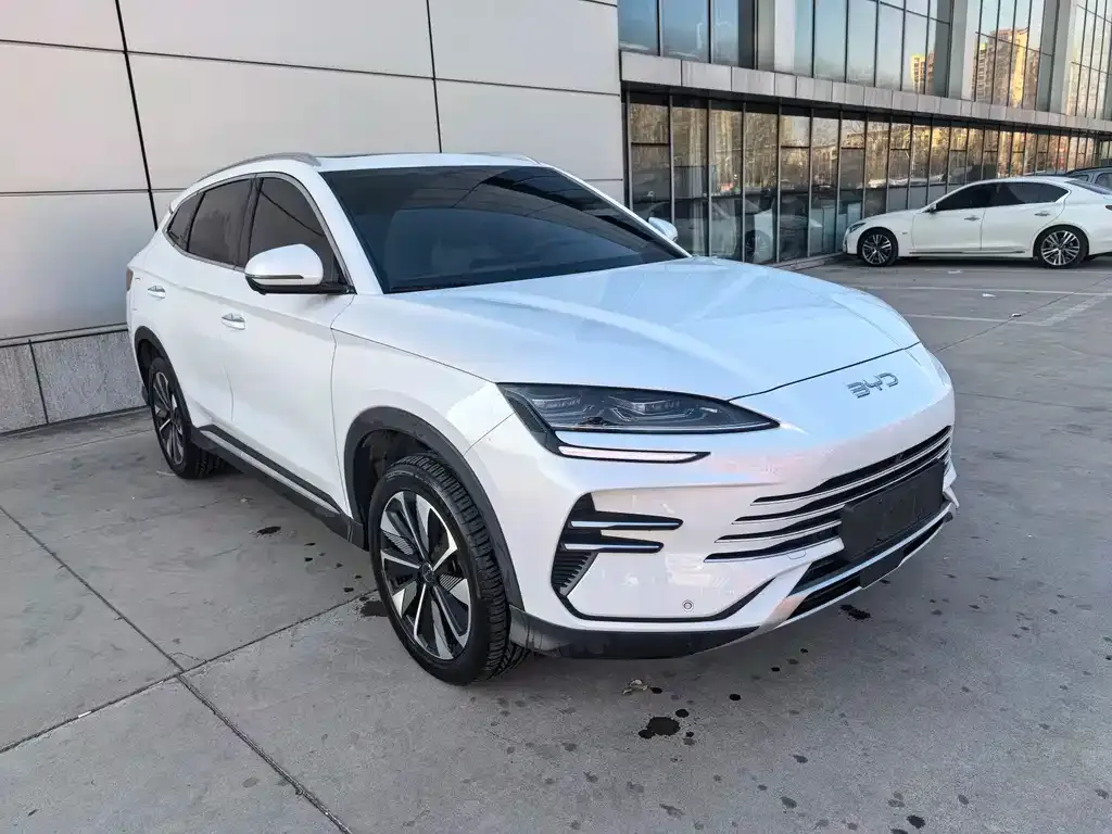 BYD PLUS New Energy 2024 из CN, фото 3