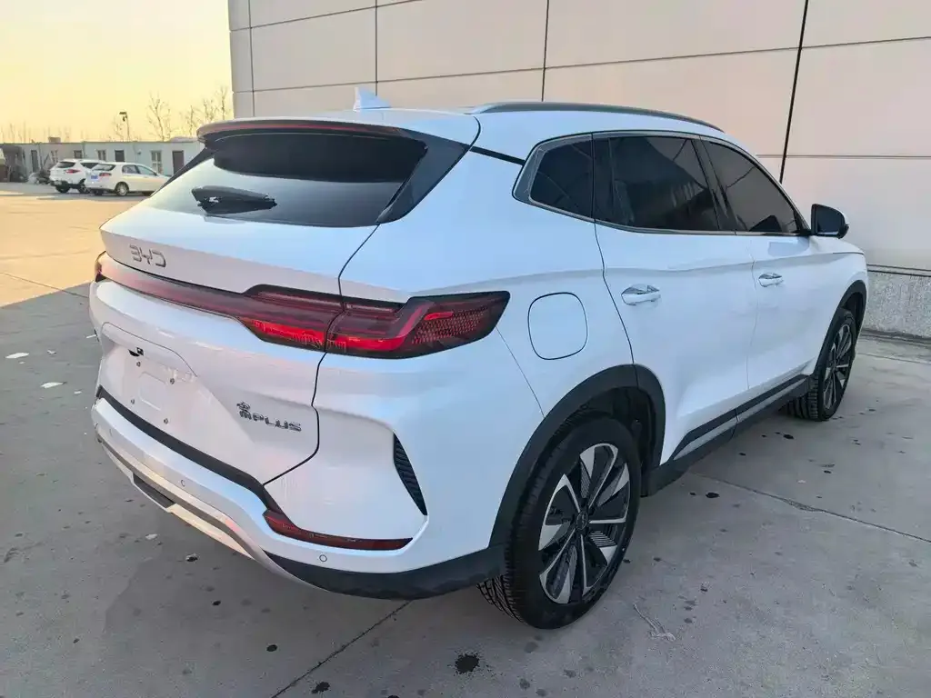 BYD PLUS New Energy 2024 из CN, фото 4