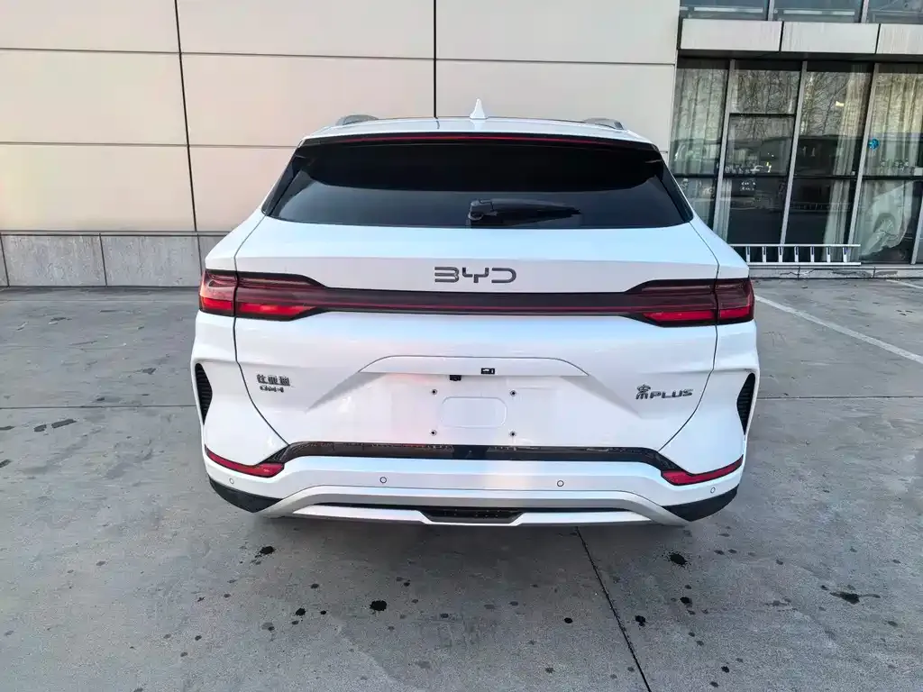 BYD PLUS New Energy 2024 из CN, фото 8