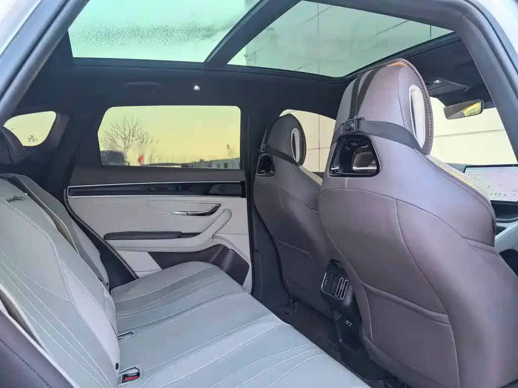 BYD PLUS New Energy 2024 из CN, фото 5
