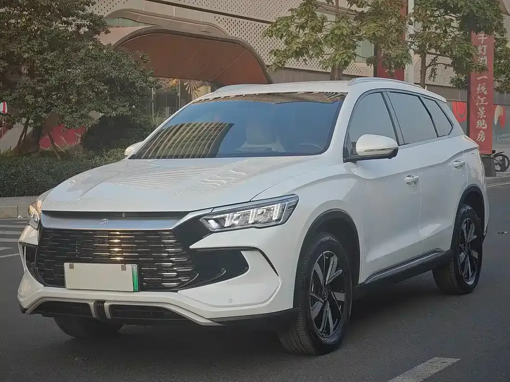 BYD Pro New Energy 2025 из CN, фото 1