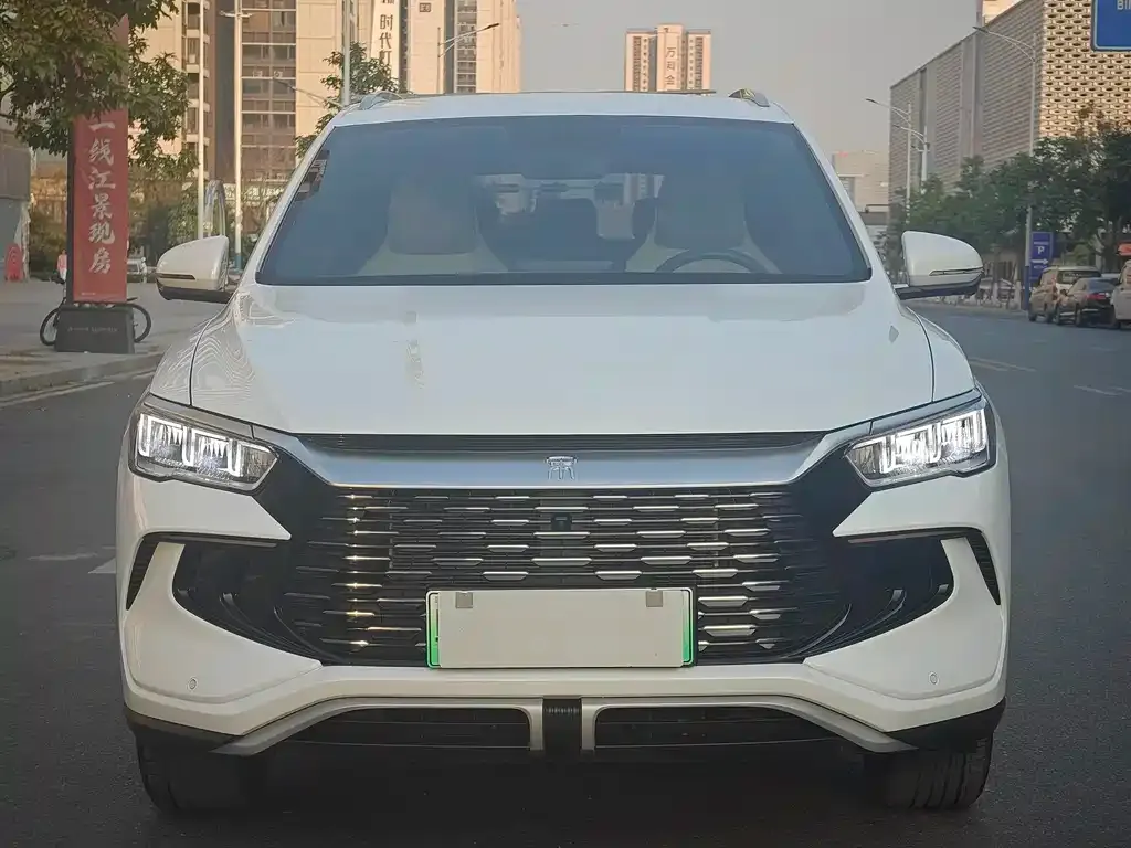 BYD Pro New Energy 2025 из CN, фото 8