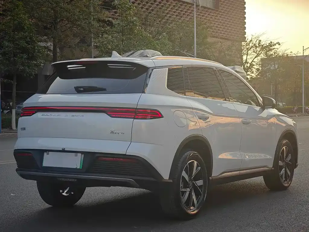 BYD Pro New Energy 2025 из CN, фото 6