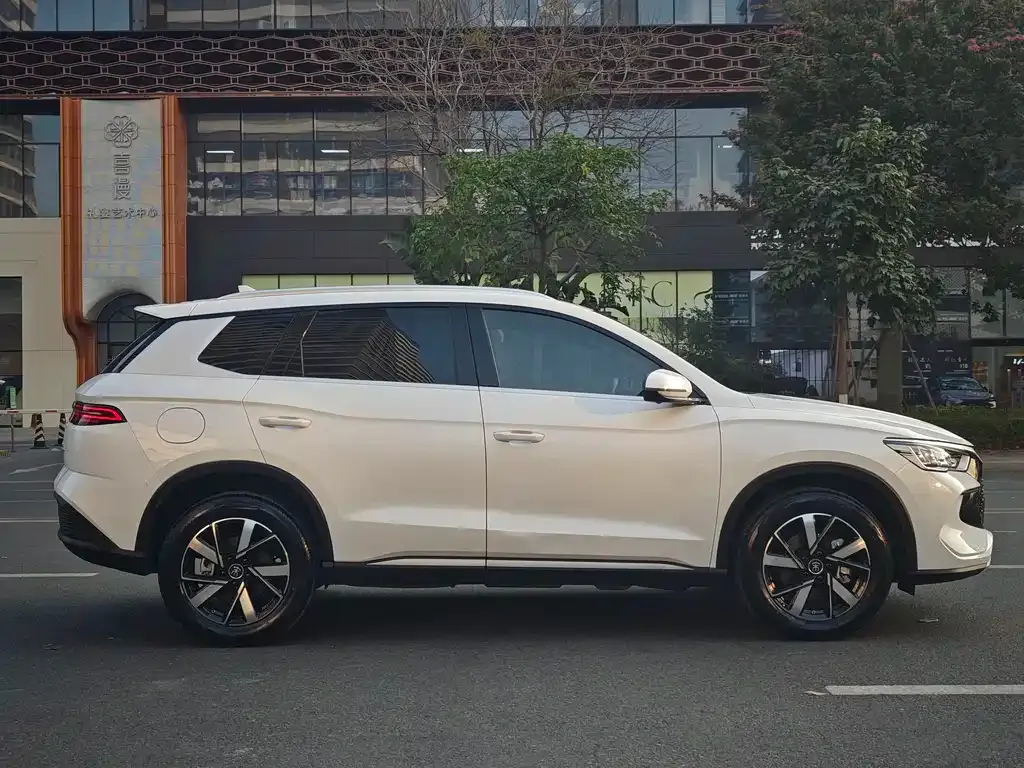 BYD Pro New Energy 2025 из CN, фото 5