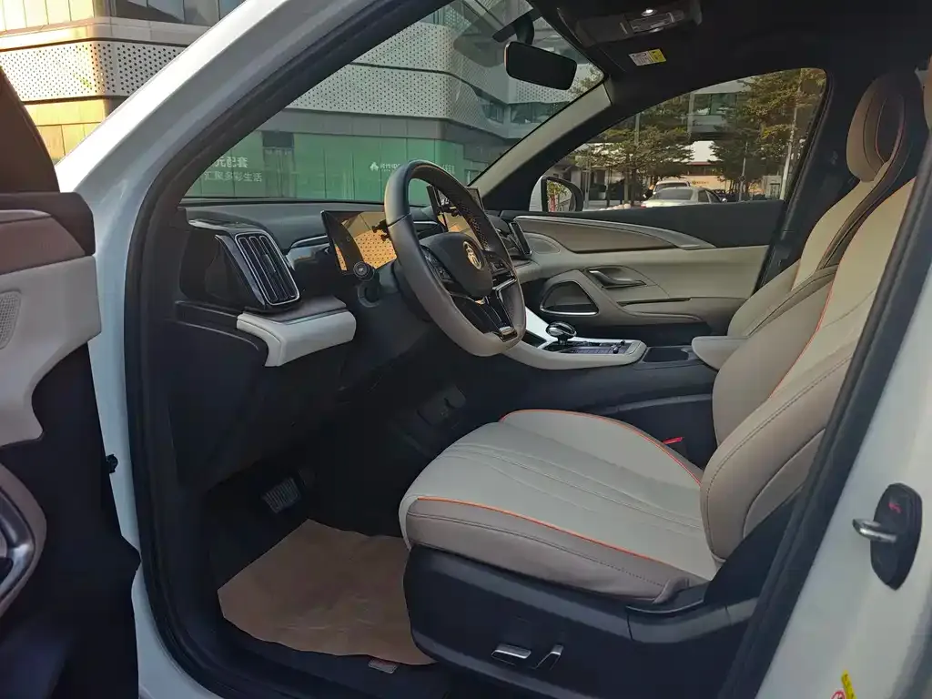 BYD Pro New Energy 2025 из CN, фото 10