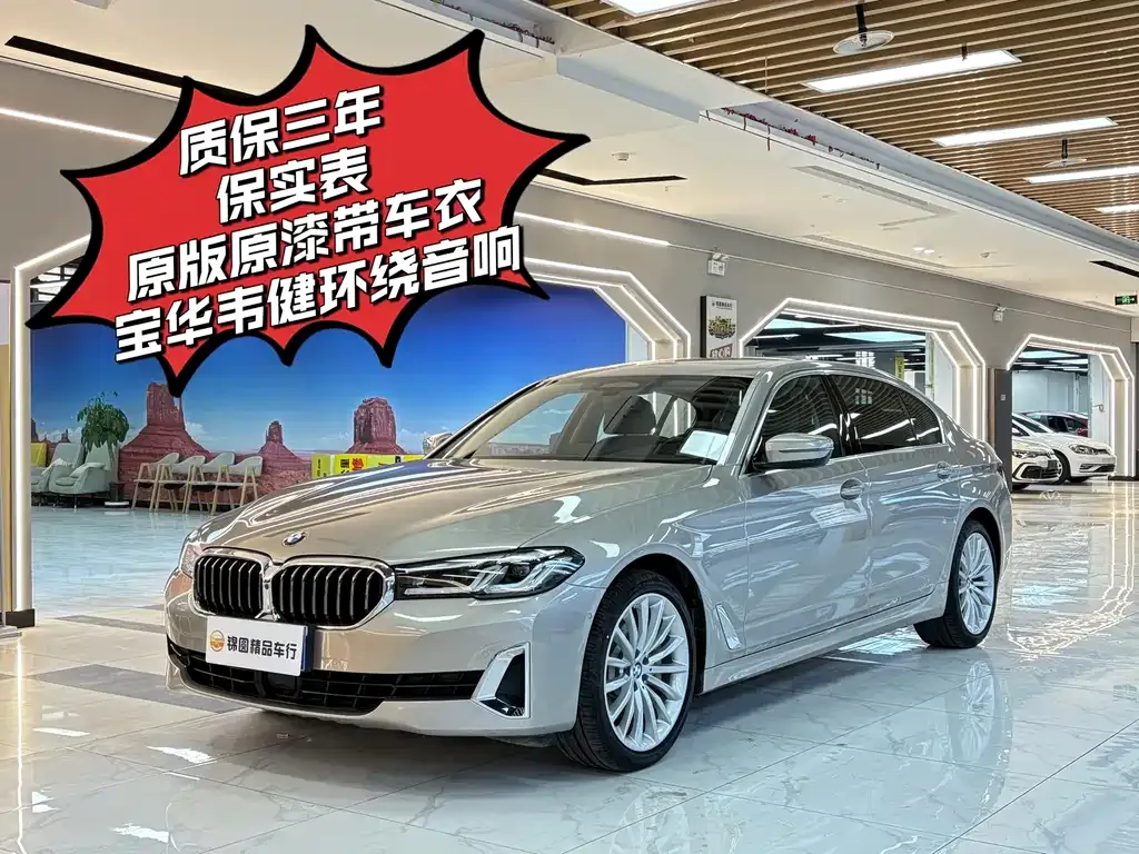 BMW 5 Series 2021 из CN, фото 1