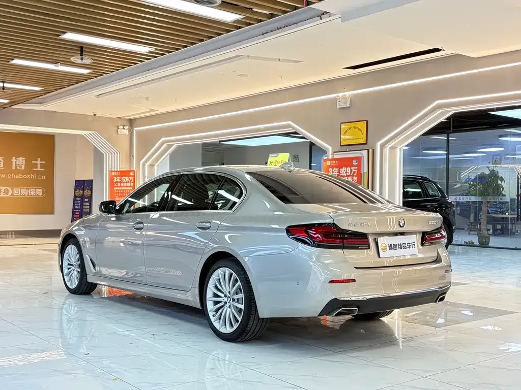 BMW 5 Series 2021 из CN, фото 3