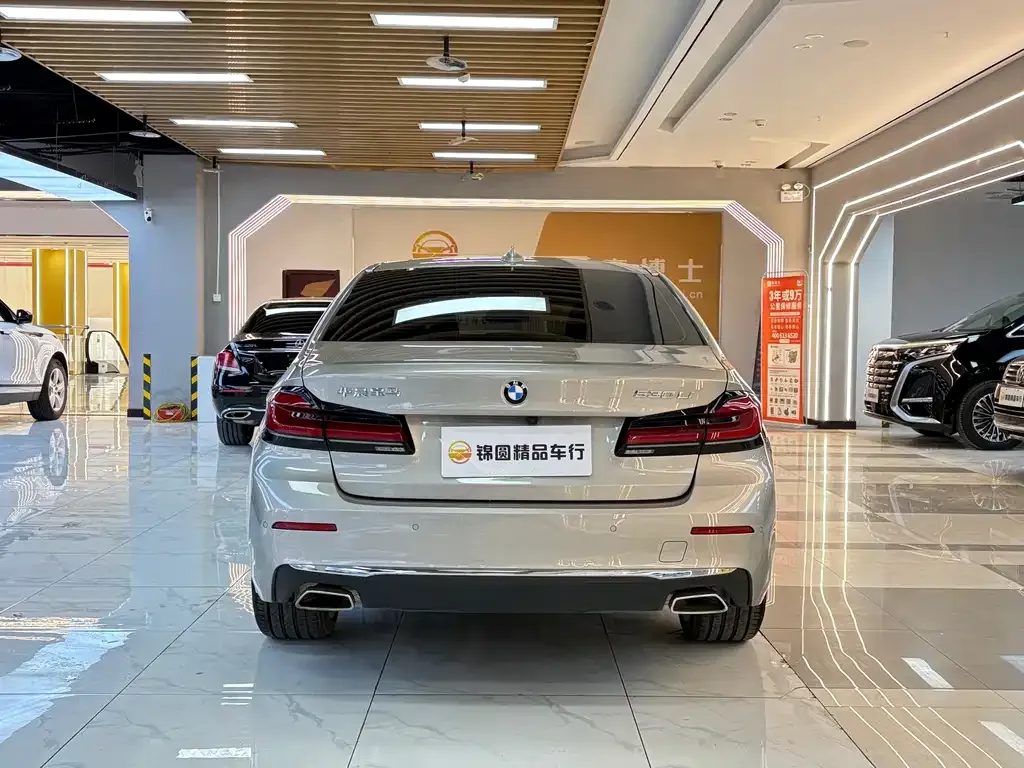 BMW 5 Series 2021 из CN, фото 2