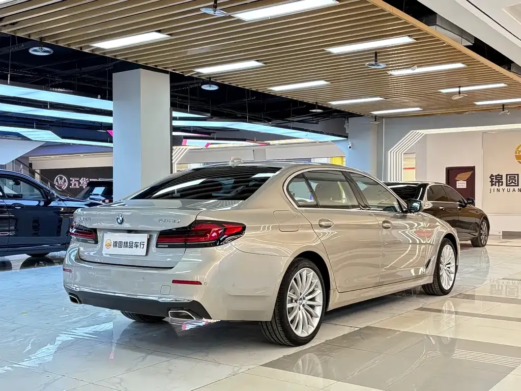 BMW 5 Series 2021 из CN, фото 9