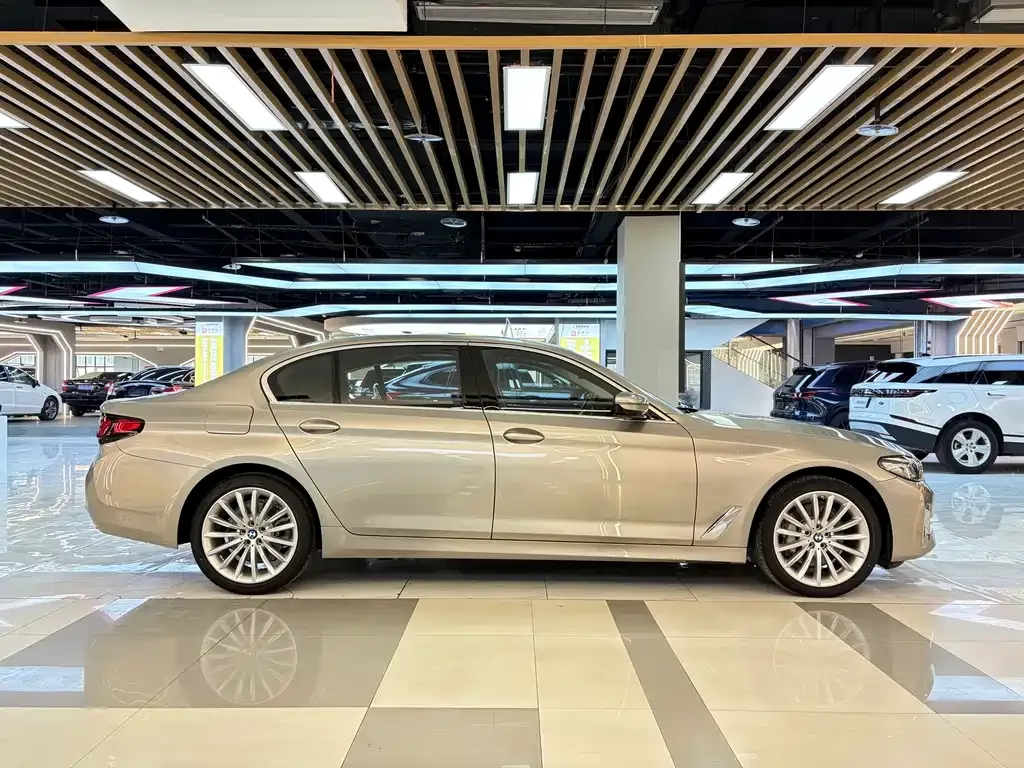 BMW 5 Series 2021 из CN, фото 4