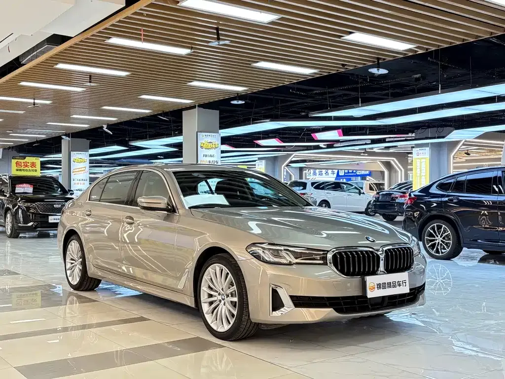 BMW 5 Series 2021 из CN, фото 10