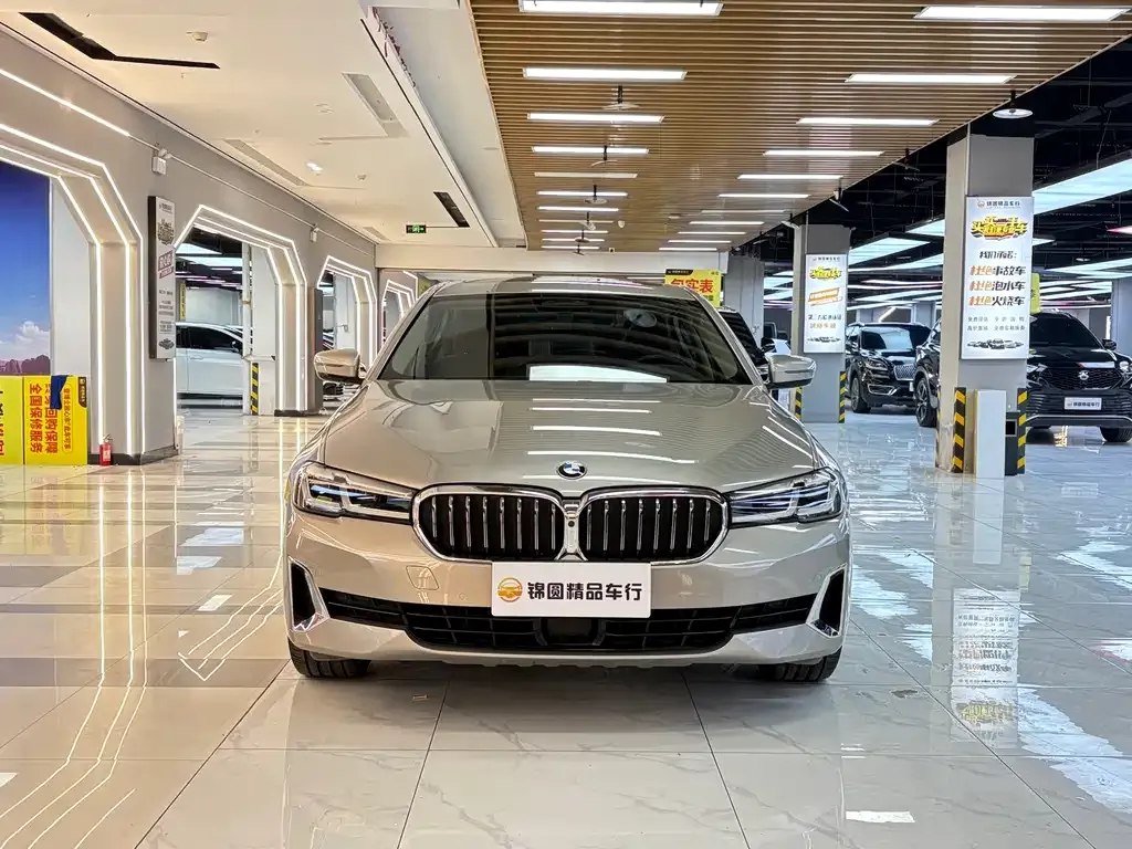 BMW 5 Series 2021 из CN, фото 6