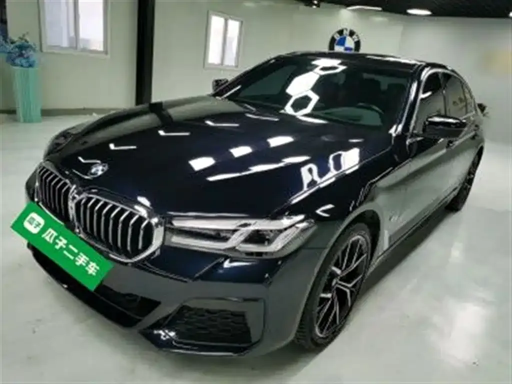 BMW 5 Series 2023 из CN, фото 1