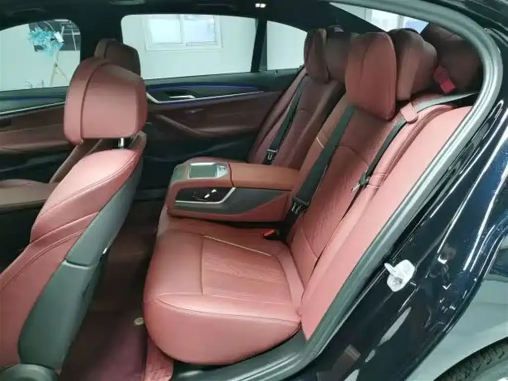 BMW 5 Series 2023 из CN, фото 10