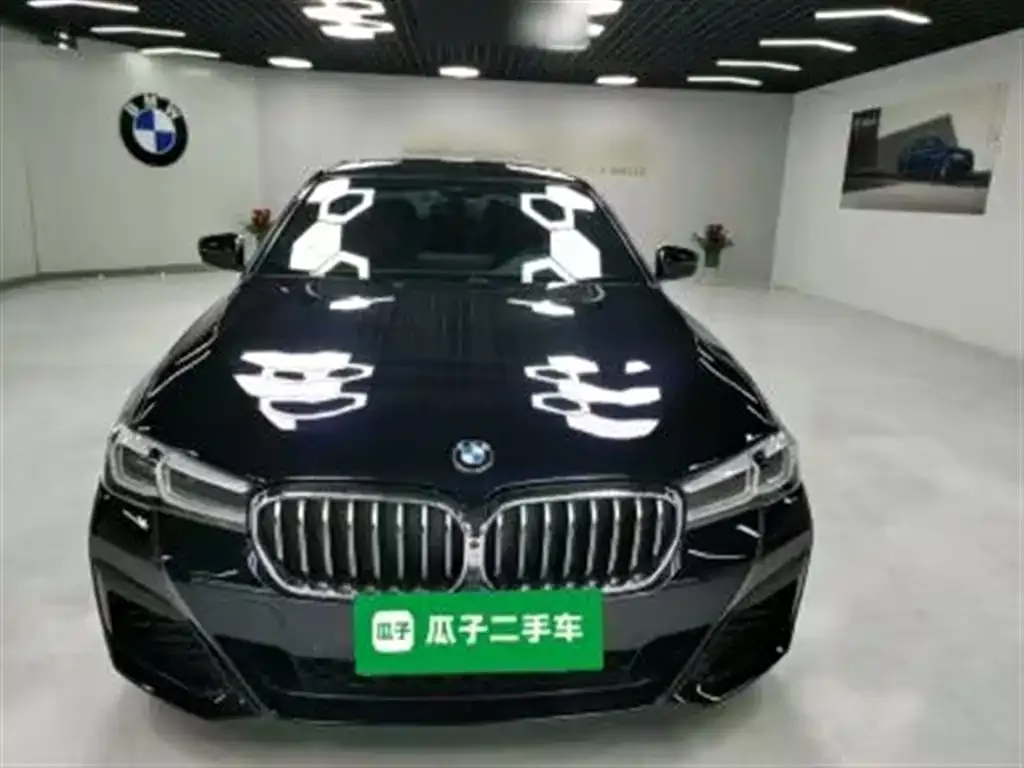 BMW 5 Series 2023 из CN, фото 2