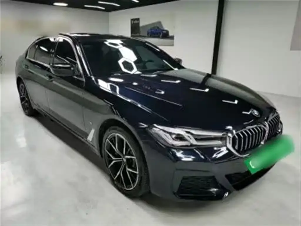 BMW 5 Series 2023 из CN, фото 3