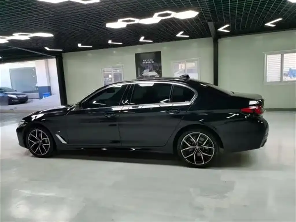 BMW 5 Series 2023 из CN, фото 5