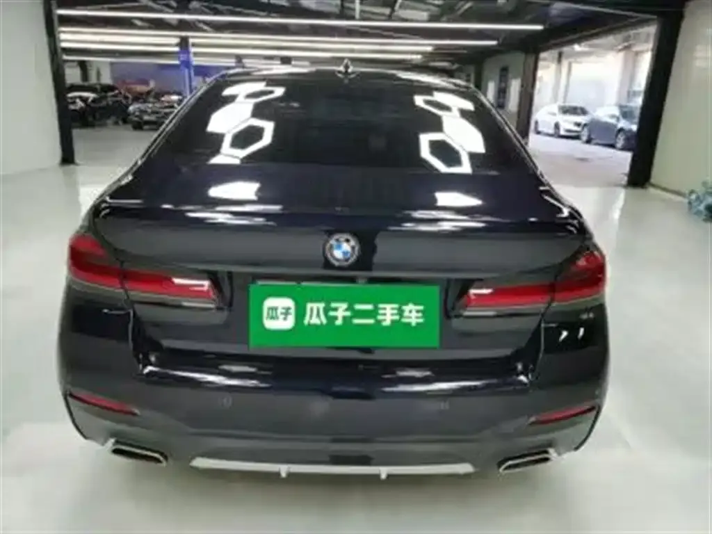 BMW 5 Series 2023 из CN, фото 8