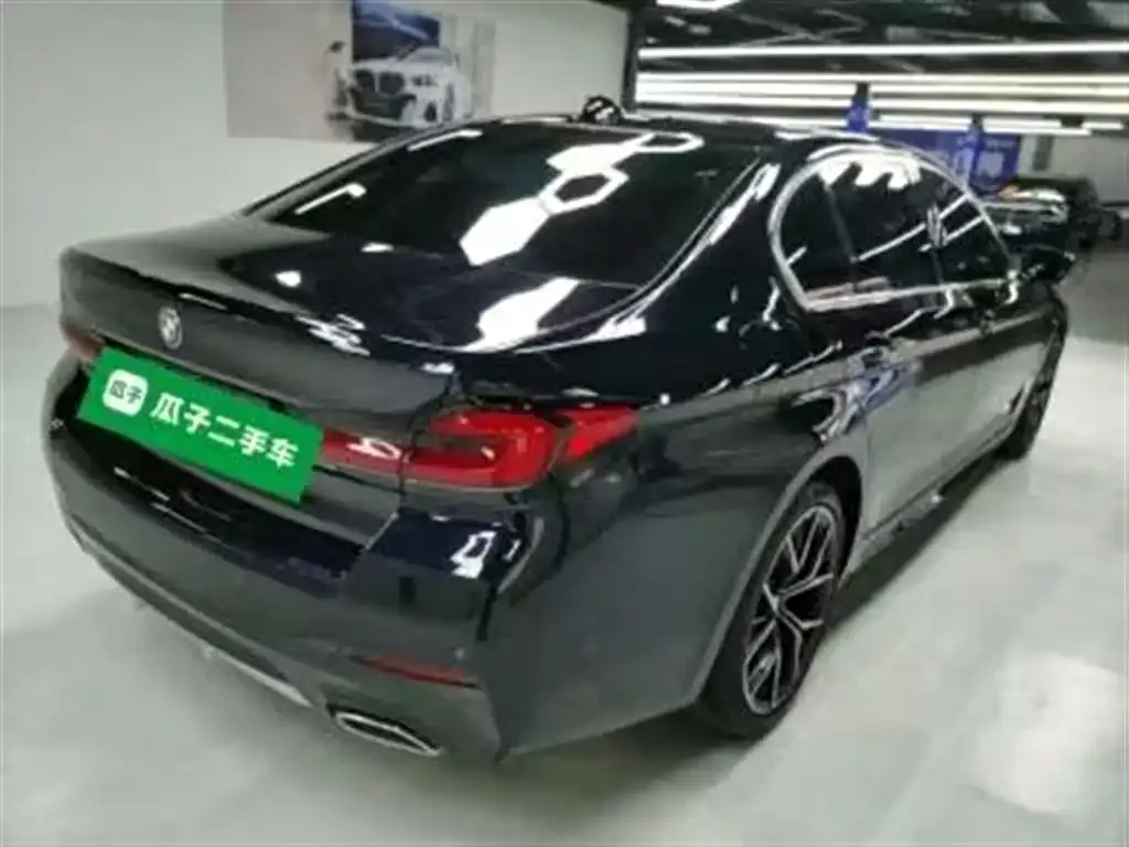 BMW 5 Series 2023 из CN, фото 6