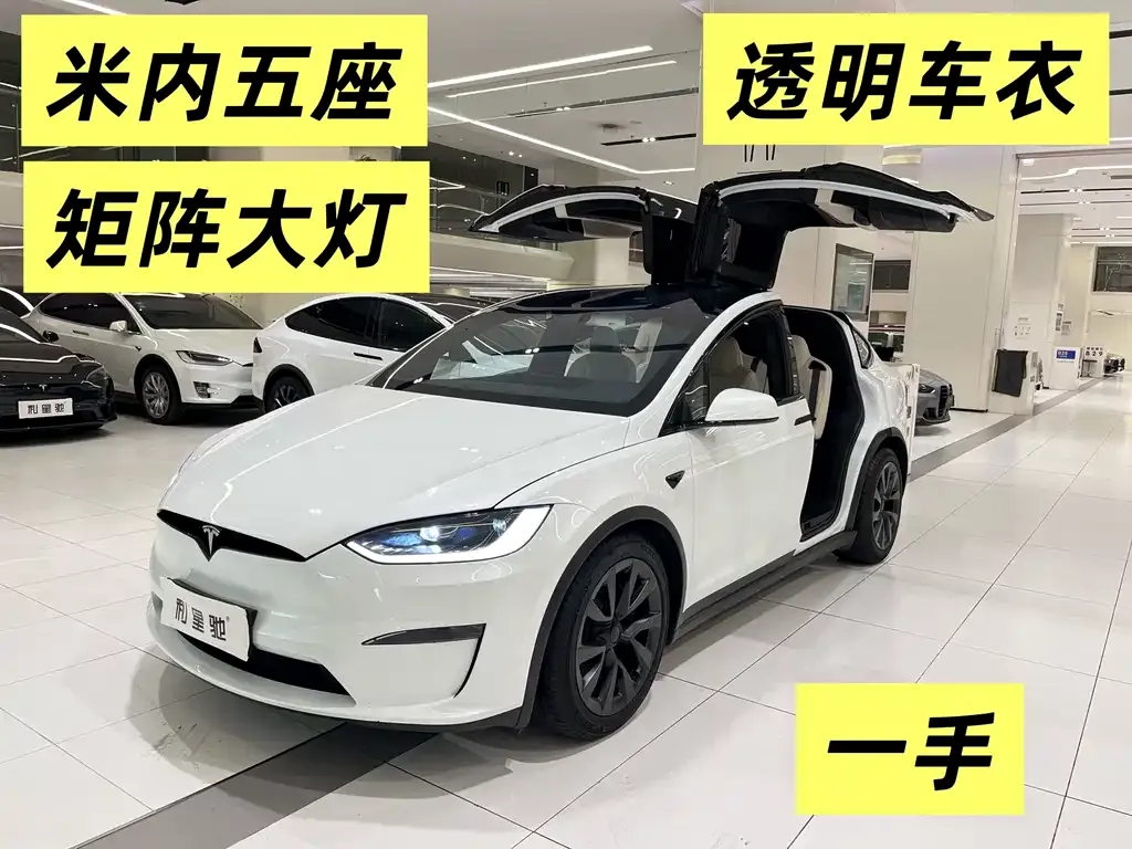 Tesla Model X — фото 1