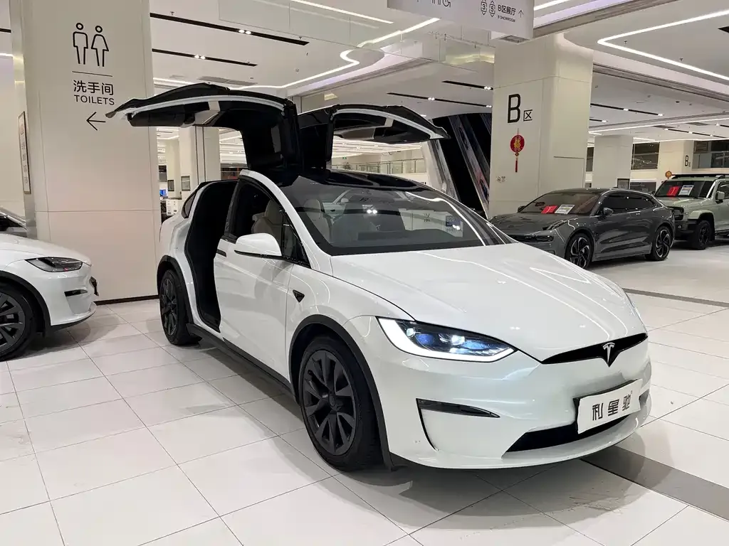 Tesla Model X — фото 8