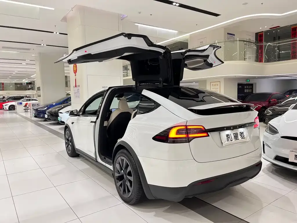 Tesla Model X — фото 9