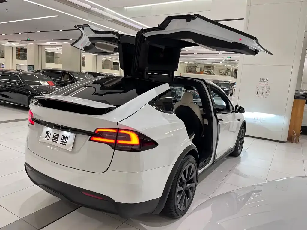 Tesla Model X — фото 10