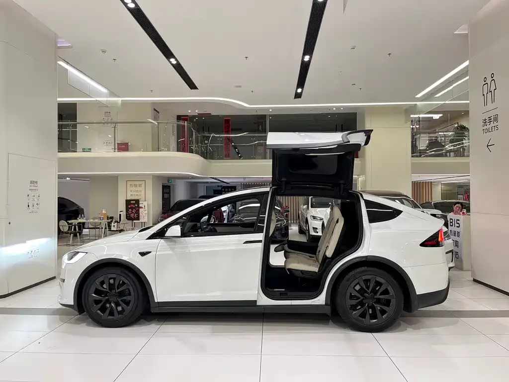 Tesla Model X — фото 2