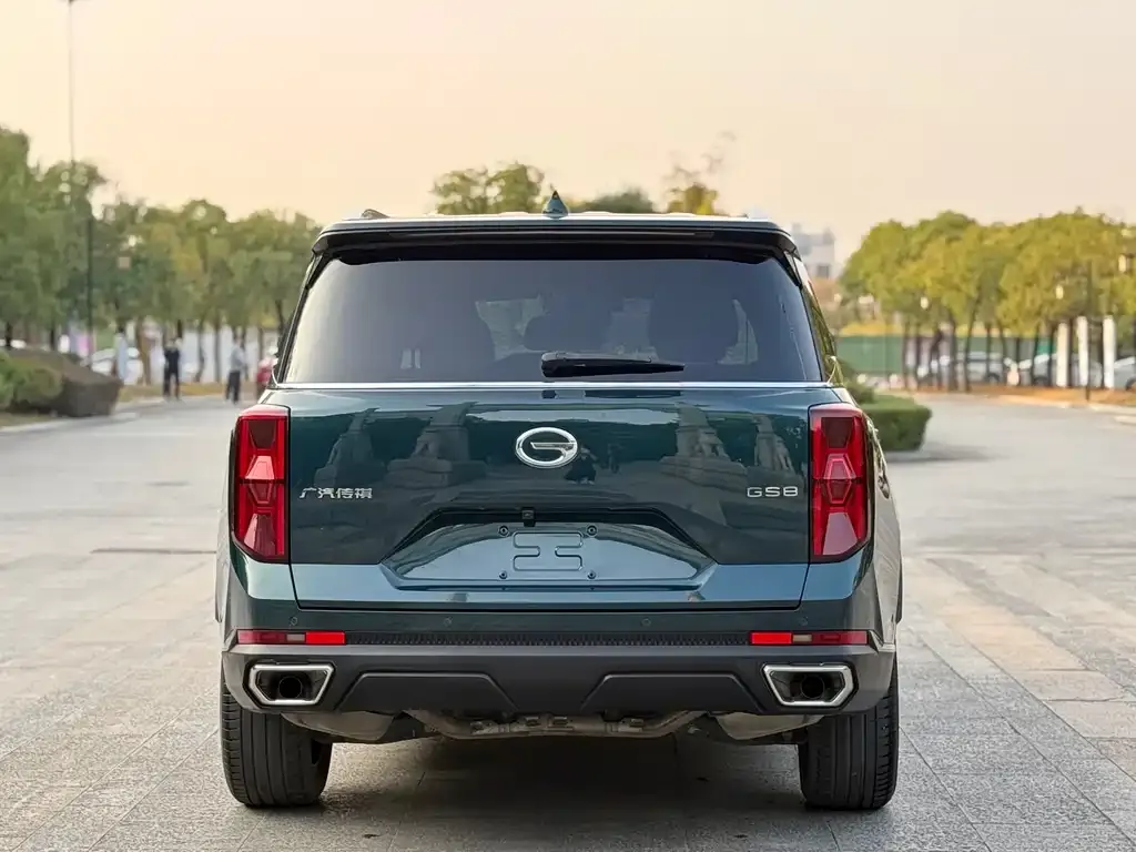 GAC Motor Trumpchi GS8 2022 из CN, фото 3