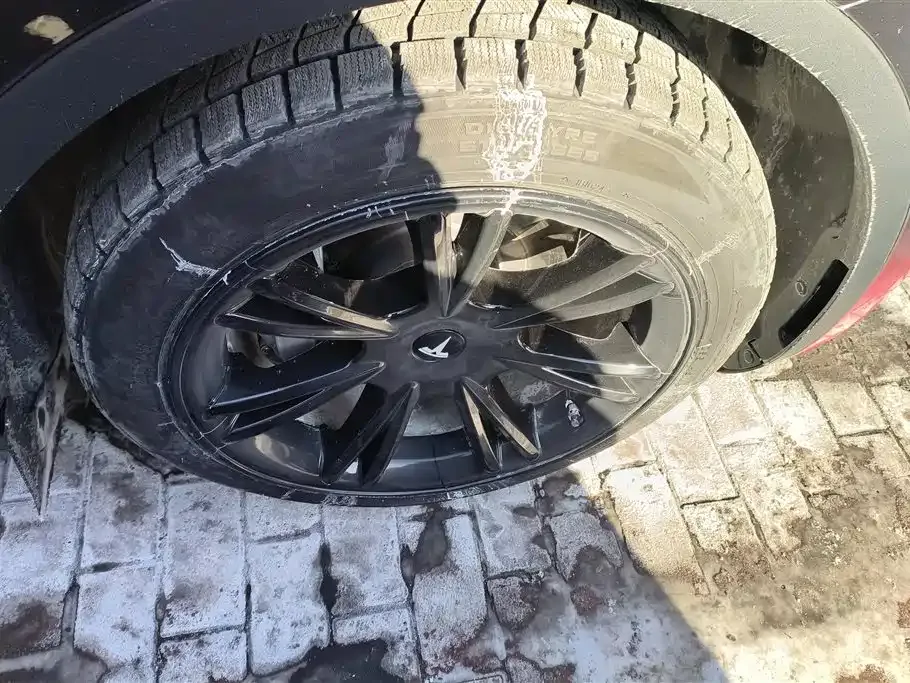 Tesla Model Y 2023 из CN, фото 6