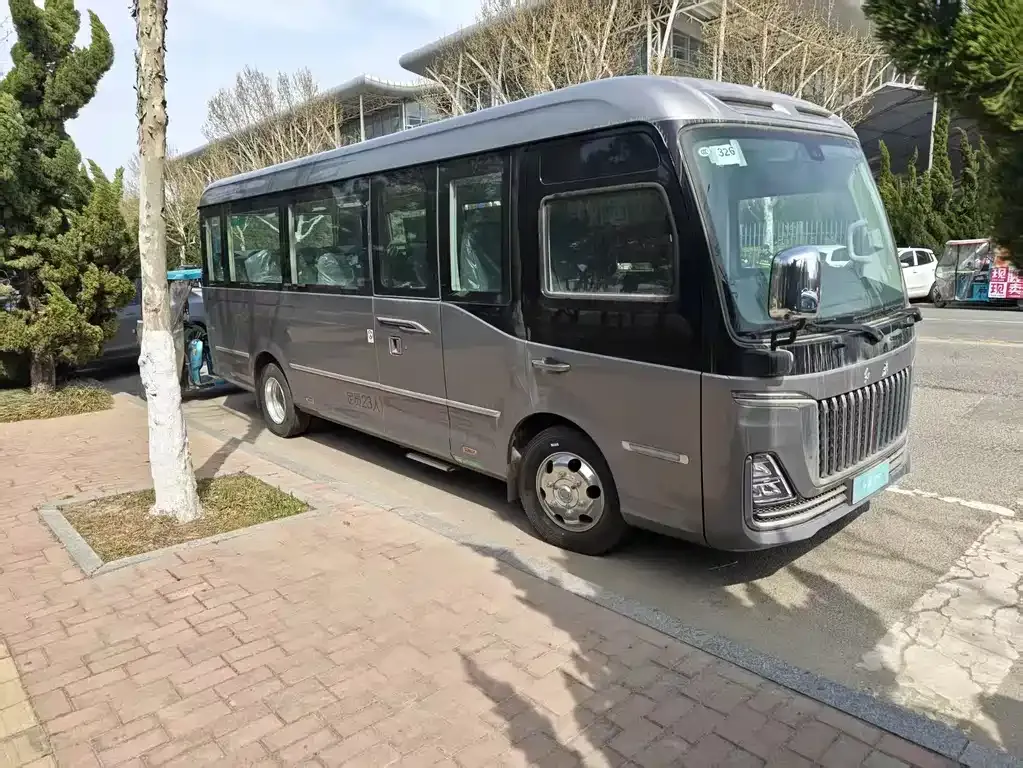 Hongqi Golden Sunflower Guoyue 2025 из CN, фото 6