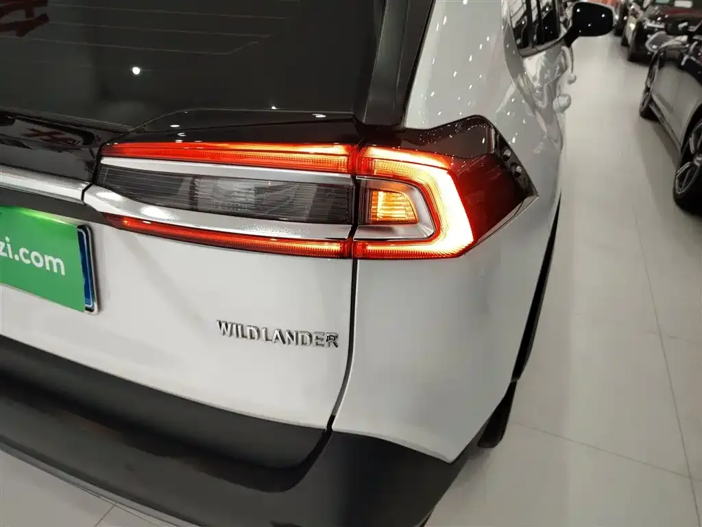 Toyota Wildlander 2025 из CN, фото 6