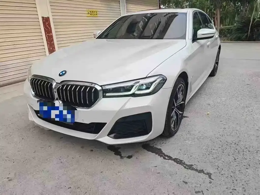 BMW 5 Series 2023 из CN, фото 1