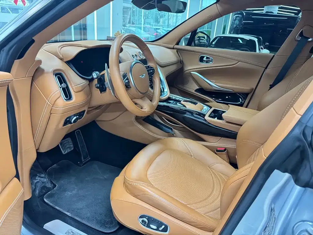 Aston Martin DBX 2022 из CN, фото 10